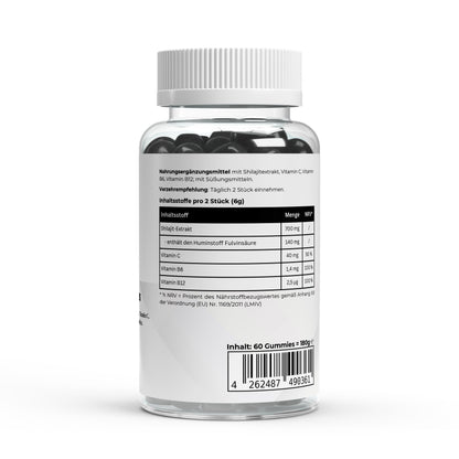 Shilajit Gummies + Vitamin C,B6, B12 - 60 pcs.